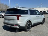 New 2025 Kia Carnival EX image 4