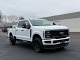 New 2025 Ford F250 XL w/ STX Appearance Package image 2