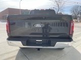 New 2025 Ford F150 XLT image 5