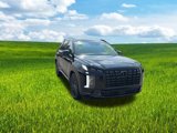New 2025 Hyundai Palisade Calligraphy image 3