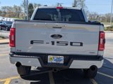 Used 2023 Ford F150 XLT w/ Equipment Group 302A High image 4