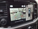 New 2025 Ford F150 XLT w/ Equipment Group 303A High image 6