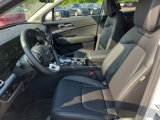 New 2025 Kia Sportage EX image 5