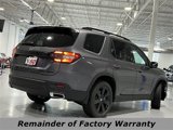 New 2025 Honda Pilot Black Edition image 3
