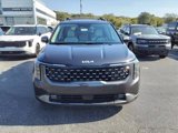 New 2025 Kia Carnival SX w/ SX Dark Edition Package image 2