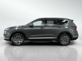 Used 2023 Hyundai Santa Fe Limited image 2