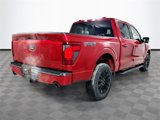 New 2025 Ford F150 XLT w/ Equipment Group 302A MID image 4