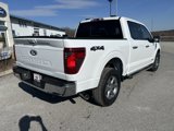 New 2025 Ford F150 XLT w/ Equipment Group 302A MID image 3