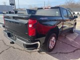 New 2025 Chevrolet Silverado 1500 LT w/ LPO, Liner Protection Package image 5