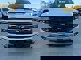 New 2024 Ford F150 XLT w/ Equipment Group 302A MID image 2