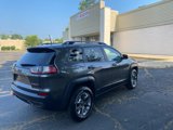 Used 2019 Jeep Cherokee Trailhawk w/ Comfort/Convenience Group image 4