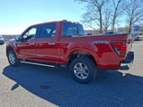 New 2025 Ford F150 XLT image 3