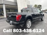 New 2025 Ford F150 Platinum w/ Equipment Group 703A Plus image 3