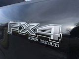 New 2024 Ford F150 XLT image 5
