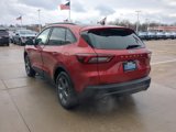 New 2025 Ford Escape ST-Line Elite w/ Tech Pack #1 image 5