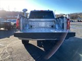 New 2025 Ford F150 XLT w/ Equipment Group 302A MID image 5