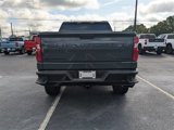 New 2025 Chevrolet Silverado 1500 Custom Trail Boss w/ Turbomax Blackout Package image 5