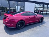 Used 2022 Ford Mustang GT Premium w/ Equipment Group 401A image 4