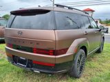 New 2025 Hyundai Santa Fe Calligraphy image 4