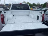 Used 2024 Ford F150 STX image 5