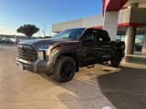 New 2025 Toyota Tundra SR5 image 3