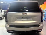 Used 2021 Cadillac Escalade Premium Luxury image 5