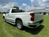 Used 2024 Chevrolet Silverado 1500 W/T w/ WT Fleet Convenience Package image 5