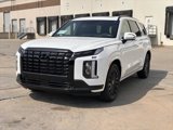 New 2025 Hyundai Palisade Calligraphy image 2