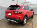 Used 2024 Ford Escape Active w/ Tech Pack #2 image 4
