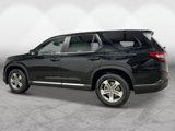 New 2025 Honda Pilot EX-L image 2