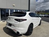 New 2025 Alfa Romeo Stelvio Tributo Italiano w/ Driving Assist Package image 3