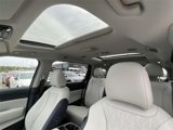 New 2025 Kia Carnival SX image 6
