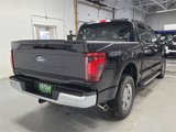 New 2025 Ford F150 XLT w/ Equipment Group 302A MID image 5
