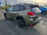 Used 2024 Subaru Forester Wilderness image 4