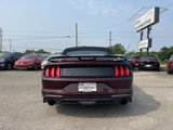 Used 2018 Ford Mustang Premium w/ Equipment Group 201A image 6