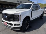 New 2025 Ford F350 Platinum image 2
