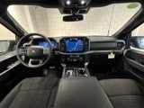 New 2025 Ford F150 XLT image 4