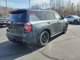 New 2025 Nissan Armada PRO-4X w/ Pro-4X Premium Package image 5