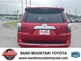 Used 2023 Toyota 4Runner Limited image 4