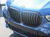 Used 2023 BMW X5 xDrive45e w/ Executive Package image 5