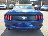 Used 2015 Ford Mustang Convertible w/ Equipment Group 051A image 6