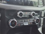 New 2025 Ford F150 XLT w/ Equipment Group 302A MID image 6
