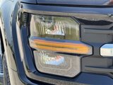New 2025 Ford F150 XLT image 5