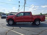 New 2025 Ford F150 XLT w/ Equipment Group 301A Standard image 4