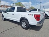 Certified 2023 Ford F150 XLT w/ Equipment Group 301A Mid image 3