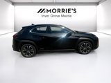 Used 2021 Lexus UX 250h w/ Premium Package image 4