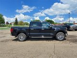 New 2025 Ford F150 XLT w/ Equipment Group 303A High image 4
