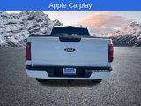 New 2025 Ford F150 STX image 4