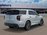 New 2025 Hyundai Palisade Calligraphy image 4