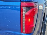 New 2025 Ford F150 XLT w/ Equipment Group 303A High image 6